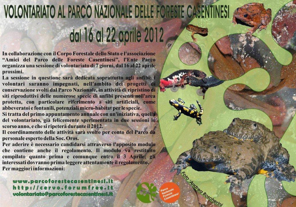 Sessione di volontariato dedicato agli anfibi nel PNFC
